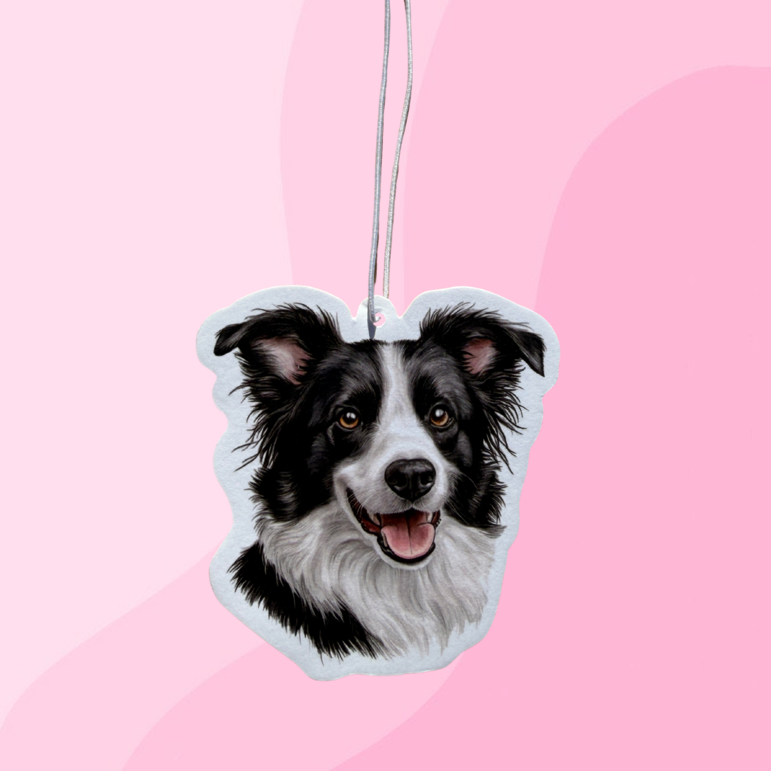 Border Collie Air Freshener