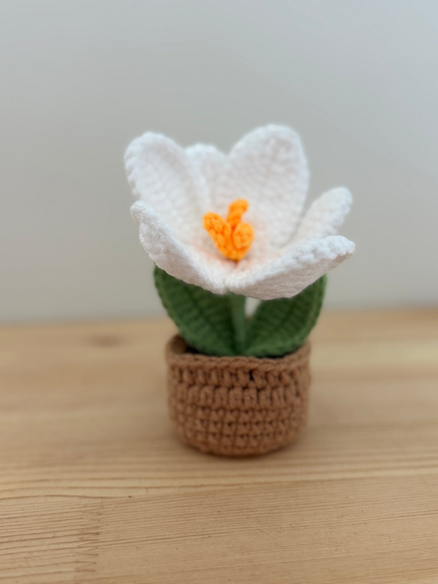 White Tulip (Open Bud) Amigurumi