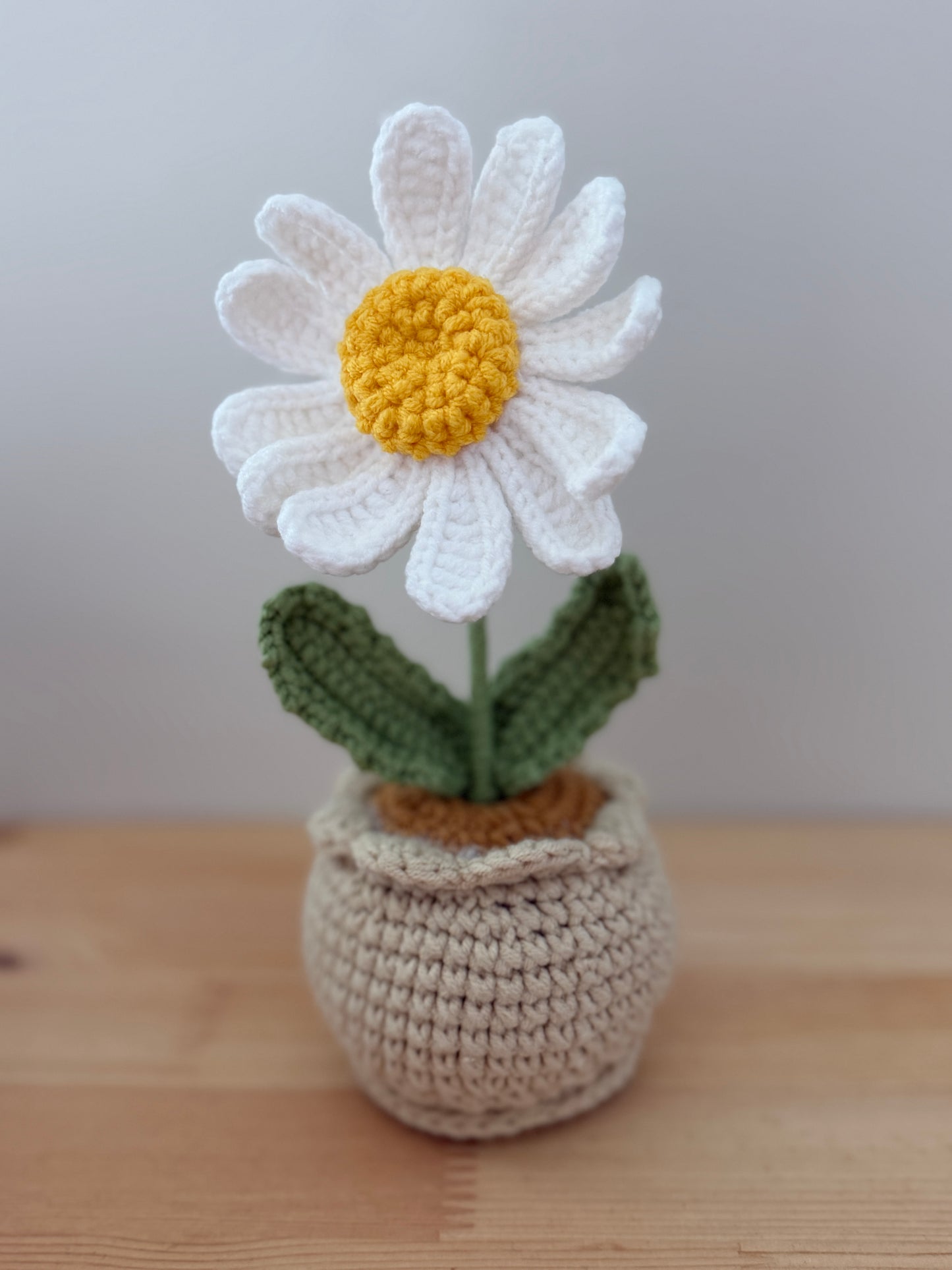 Single White Daisy Amigurumi