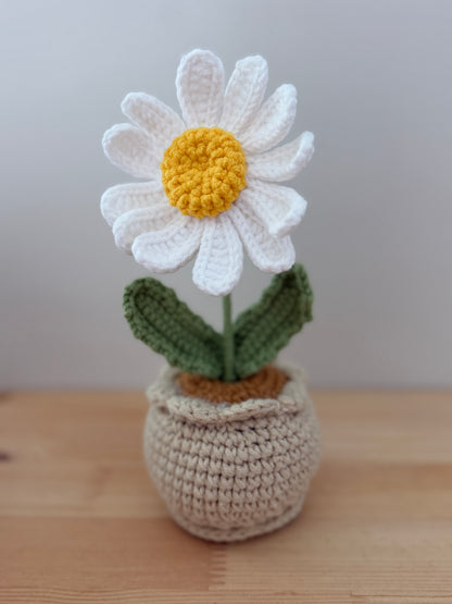 Single White Daisy Amigurumi