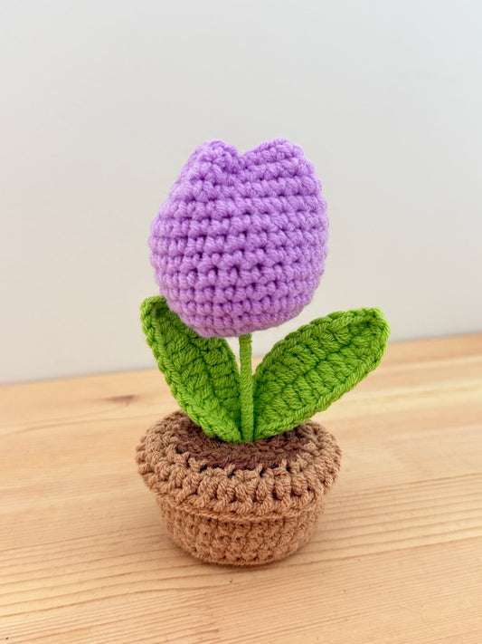 Purple Tulip Amigurumi
