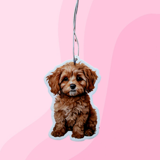 Cavoodle Air Freshener