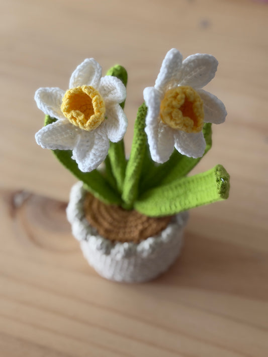 Mini Daffodil Amigurumi