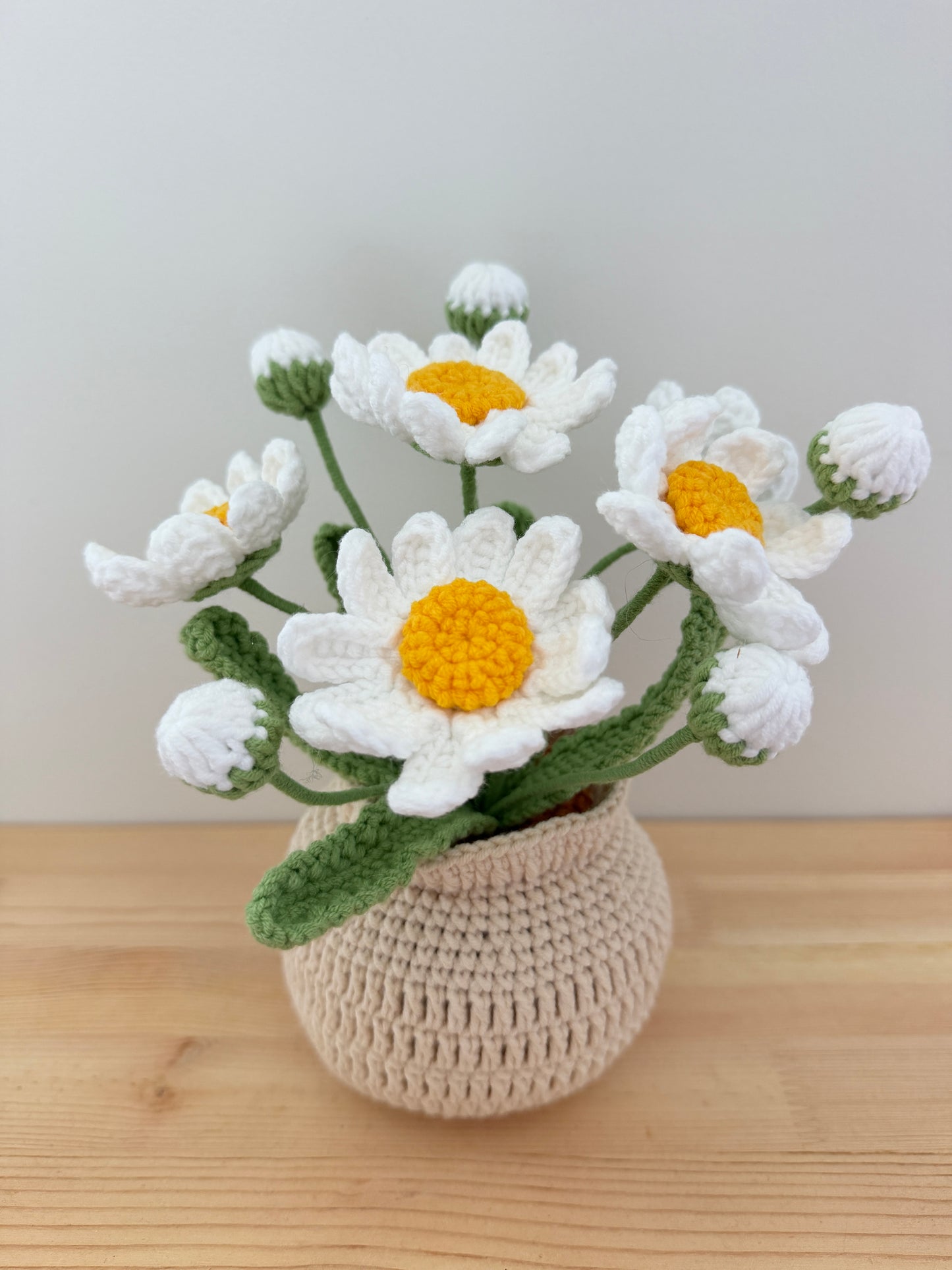 White Daisy Pot Amigurumi