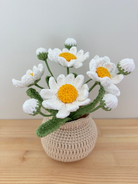 White Daisy Pot Amigurumi