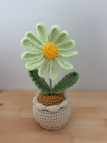 Single Green Daisy Amigurumi