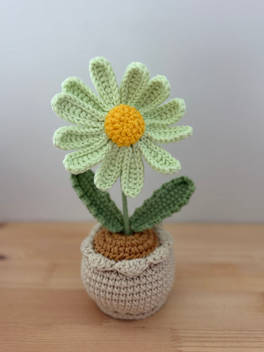 Single Green Daisy Amigurumi