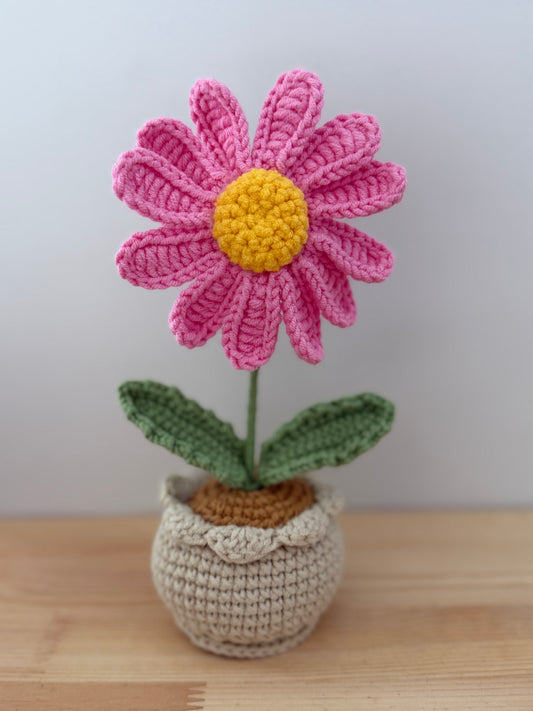 Single Pink Daisy Amigurumi