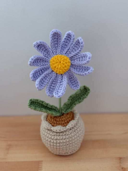Single Purple Daisy Amigurumi
